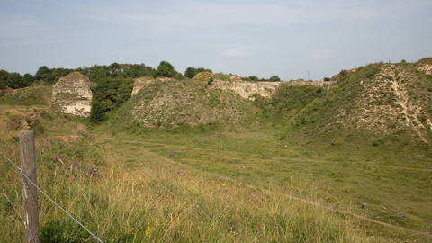 Bishop Middleham Quarry nature reserve