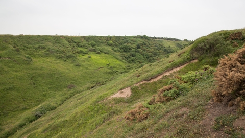 Blackhall rocks nature reserve