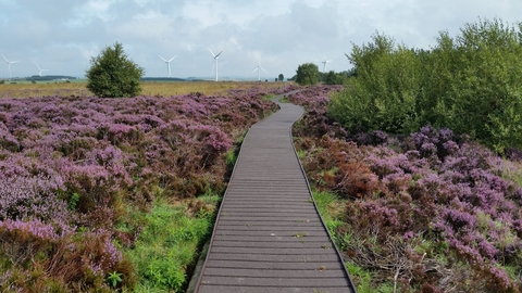 Hedleyhope Fell Nature Reserve