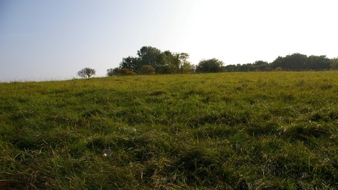 Herrington Hill Nature Reserve