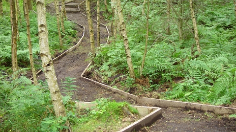 High Wood Nature Reserve