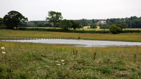 Lamesley Pastures Nature Reserve