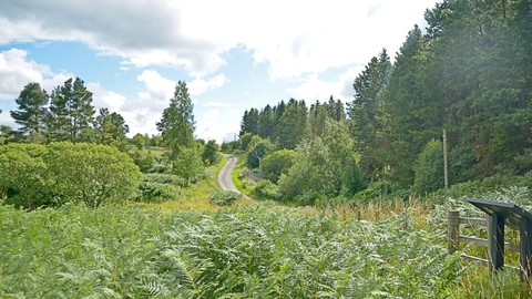 Longburnford Quarry Nature Reserve