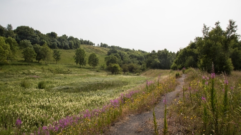 Raisby Hill Grassland Nature Reserve