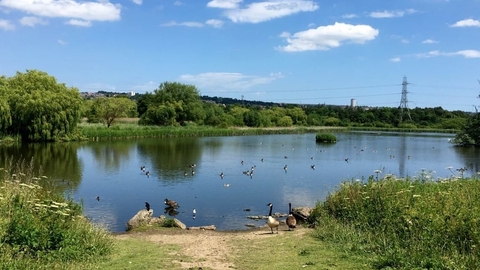 Shibdon Pond Nature Reserve