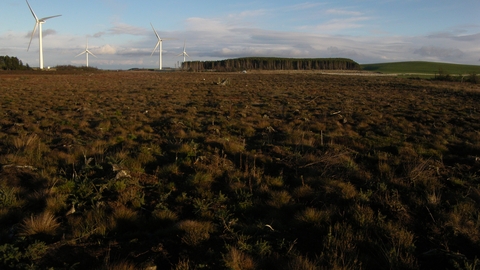 Stanley Moss Nature Reserve