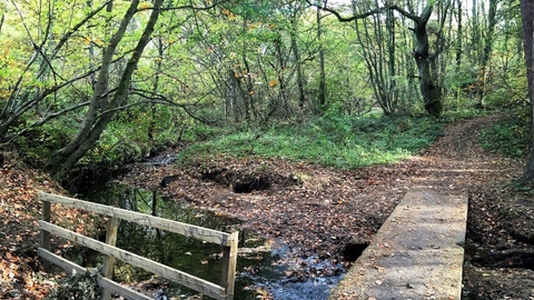 Tudhoe Mill Nature Reserve