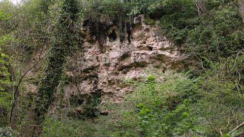 Heselden Dene Nature Reserve 