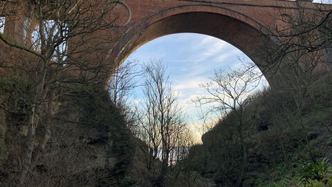 Viaduct at Hawthorn Dene Nature Reserve
