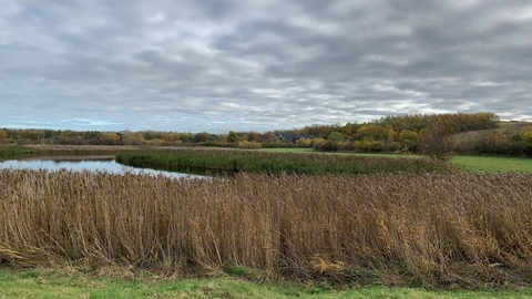 Rainton Meadows Nature Reserve in autumn looking at visitor centre over the pond