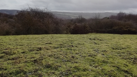 Smiths Lea (Beda Hills) view over field towards trees