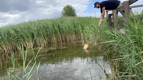 Nextdoor Nature officer Tom Parkin pond dipping from platform