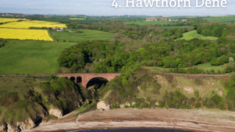 Hawthorn Dene