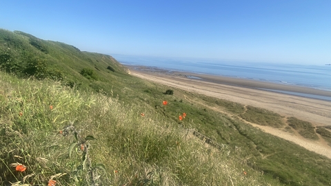 grasslands with beach and sea in distance