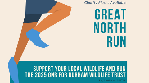 Great North Run 2025 Support your local wildlife and run the 2025 GNR for Durham Wildlife Trust