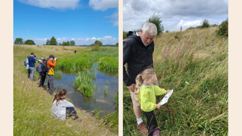 montage of photos of groups of people watching wildlife and on nature trails