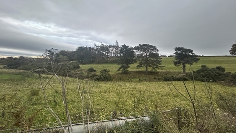 Fields with trees in distance