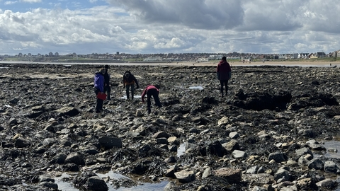 group of people surveying shoreline on rockpools with beach in distance
