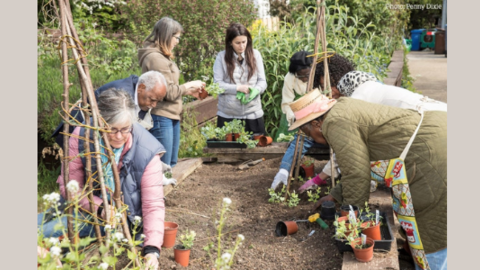 Group of mixed age people standing around a community garden planter