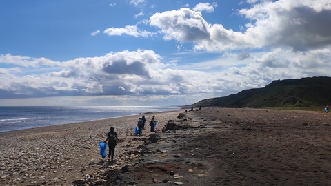 Horden beach clean