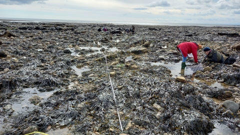 Shoresearch survey, Seaham