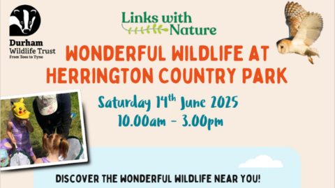 graphic promoting community event