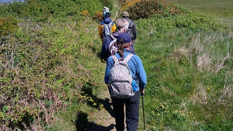 group of people walking along coastal path, with grasslands either side and sea in distance. 