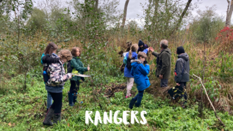 Young people in field looking at trees