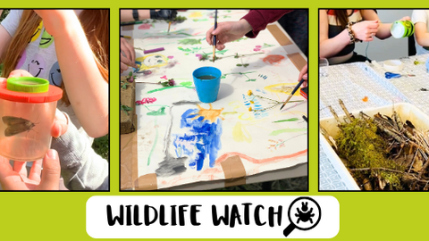 Montage of photos of children's wildlife themed activities