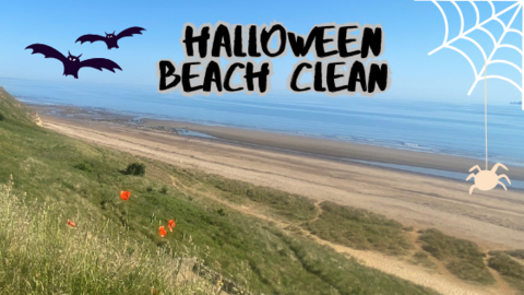 Crimdon beach