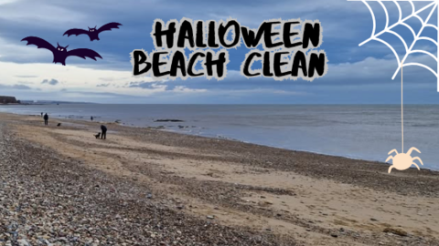 Seaham Hall Beach