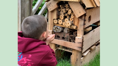small boy looking upwards at a wooden bug hotel