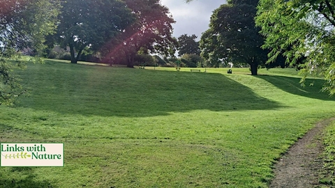green bank with path along bottom of hill