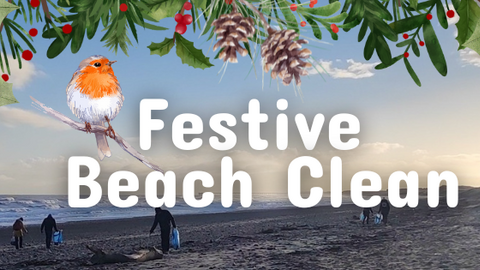 Crimdon Festive Beach Clean