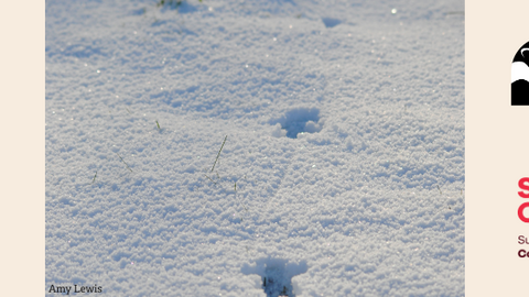 snow tracks next to two logos
