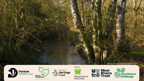 River burn with project logos