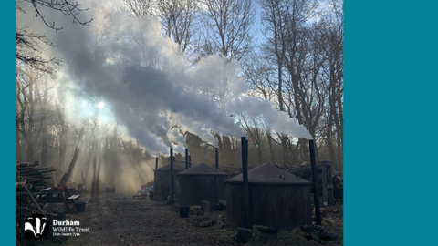 A woodland scene with several round, metal charcoal kilns releasing thick white smoke through tall chimneys. Sunlight filters through the haze and bare trees, casting long shadows across the forest floor. Stacks of logs sit nearby, and the Durham Wildlife Trust logo appears in the lower left corner, marking the image as part of a conservation or traditional woodland management project.