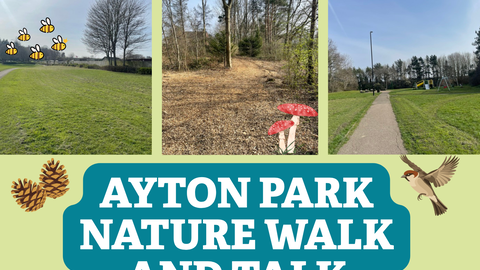 Ayton Park Event Poster