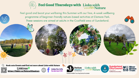 A promotional poster titled “Feel Good Thursdays with Links with Nature” invites adults in Sunderland’s Coalfield area to join a free, four‑week summer wellbeing programme at Elemore Park. The design features four circular photos showing people enjoying outdoor activities — gentle exercise in a meadow, a woodland walk, a floral craft, and group stretching. Logos for Durham Wildlife Trust, Sunderland City Council, Wear Rivers Trust, and Heritage Fund appear along the bottom, with a Linktree QR code and socia