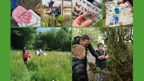 A collage of six photos showing outdoor learning and nature activities. Top row: a hand holding a pond insect over a tray, people sampling water at a pond, a hand displaying a butterfly ID sheet, and a child painting at a table. Bottom row: children walking through a wildflower meadow, and an adult helping two boys examine plants or insects in a wooded area. The images highlight hands‑on exploration, art, and wildlife education in natural settings.