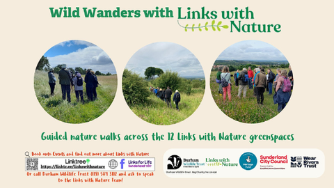Links with Nature: Wild Wanders
