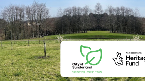 CTN Princess Anne Park banner image