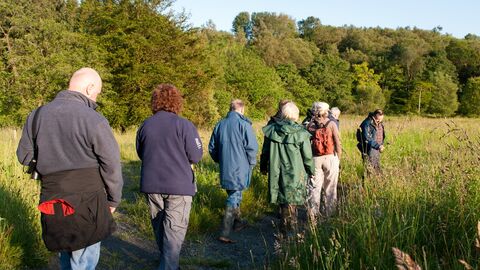 A group of people walking through wildflowers