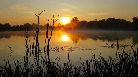 Nene Wetlands, The Wildlife Trust BCN