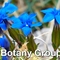 Blue flowers labelled DWT Botany Group
