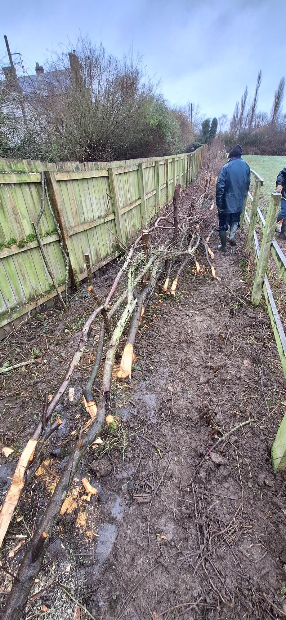 Coppicing – a part of our heritage and good woodland management | Durham