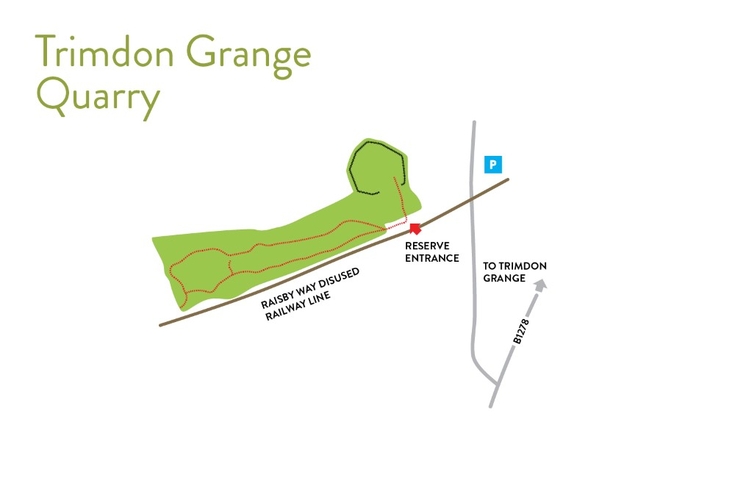 Trimdon Grange Quarry Durham