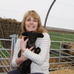 Janice Baker holding lamb