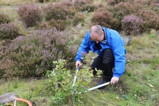 Glenn on Naturally Social project working on plants