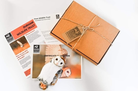 Adopt an owl pack with toy and fact sheets